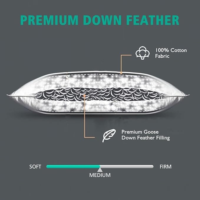 APSMILE 24x24 Down Feather Throw Pillow Inserts 2 Pack - Premium Soft Cotton Euro Square Decorative Pillow Core Set for Bed, Sofa, Couch, Ivory White