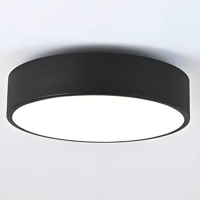 Modern Black Flush Mount Ceiling Light, 2-Lights Round Ceiling Light, Minimalistic Ceiling Lamp Acrylic Shade Lighting Fixture for Bedroom Laundry Room Bathroom Hallway(11.8 Inch)