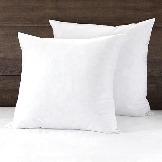 APSMILE 22x22 Down Feather Throw Pillow Inserts 2 Pack - Premium Soft Cotton Euro Square Decorative Pillow Core Set for Bed, Sofa, Couch, Ivory White