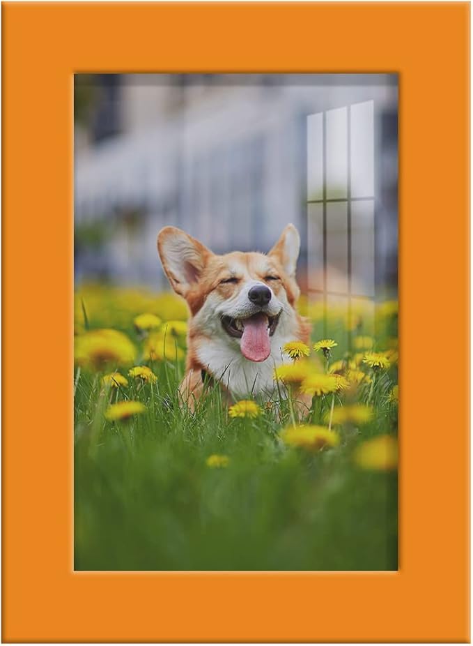 Renditions Gallery 4x6 inch Picture Frame High-end Modern Style, Made of Solid Wood and High Definition Glass Ready for Wall and Tabletop Photo Display, Orange Frame