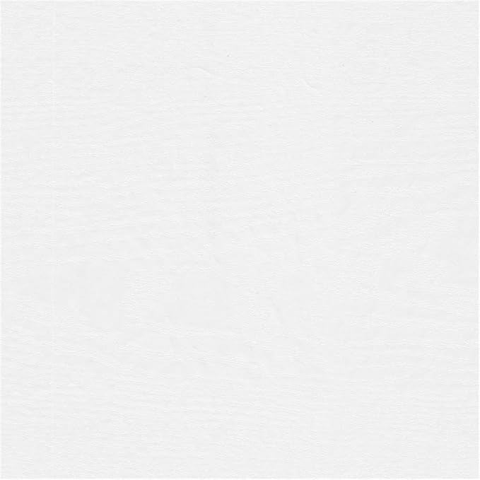 Bush Furniture Westbrook 60W TV Stand for 75 Inch TV in White Ash | Living Room Entertainment Center with Storage