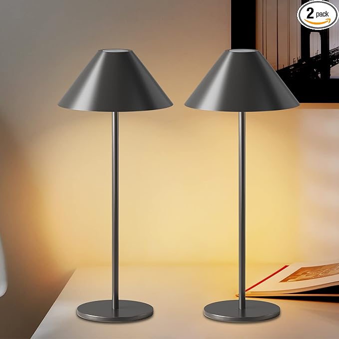 Modern LED Rechargeable Cordless Table Lamp, IP54 Waterproof, Dimmable Battery Operated Lamp, 4000mAh Certified Battery, 3000K Portable Bedside Lamp, Pack of 2 (Black)