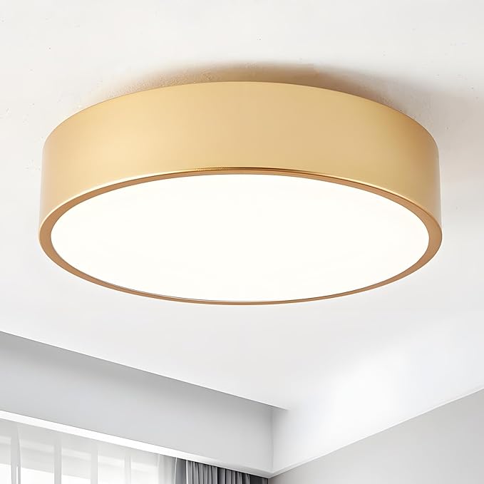 Modern Flush Mount Ceiling Light, 2-Light Round Gold, 11.8" Acrylic Shade for Bedroom, Kitchen, Living Room