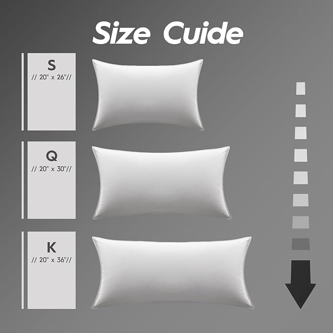 Globon Ultra Soft Down Pillow Queen Size, All Down Filled Bed Pillow for Sleeping, 100% Cotton Shell 500 Thread Count, Soft Hotel Collection Down Feather Pillow 20" x 30" 1 Pack