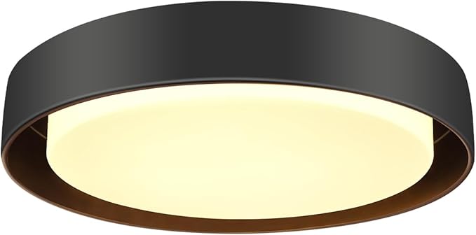 Hlite 10 inch Ceiling Light Fixture,Modern LED Flush Mount Ceiling Light,3000K/Warm White/20W,Dimmable 1600LM Rustic Indoor Room Decorative Ceiling Lights for Bedroom Kitchen, Black(1 Pack)