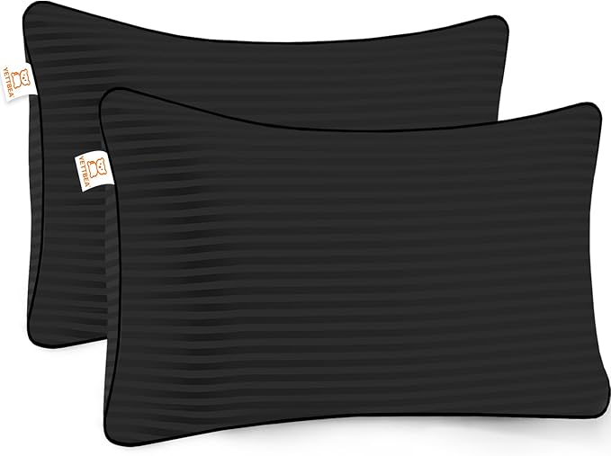 16x24 Throw Pillows Insert Set of 2, Decorative Pillows for Couch and Bed, Indoor Square Pillow Stuffing for Living Room with Premium Original Down Alternative Filling, Black