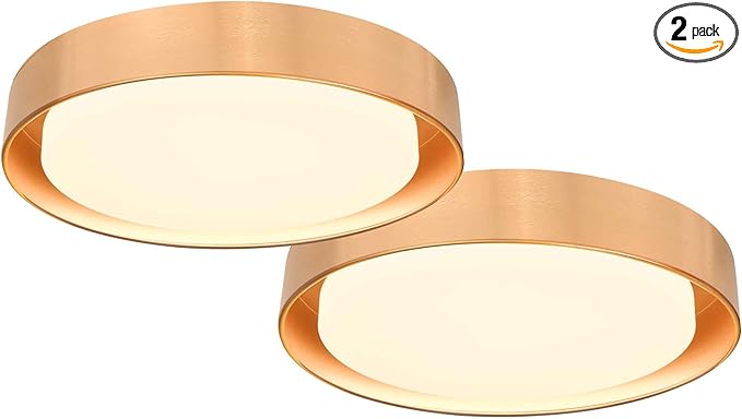 Hlite 13 inch Ceiling Light Fixture,Gold LED Flush Mount Ceiling Light, 3000K/Warm White/24W,Dimmable 1920LM Indoor Room Decorative Modern Ceiling Lights for Bedroom Kitchen(2 Pack)