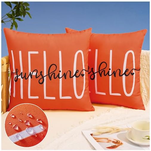 DFXSZ Outdoor Pillow Covers 20x20 Inch Set of 2 Hello Sunshine Decor Dirty Orange Waterproof Throw Pillow Covers Summer Outdoor Pillow Covers Decor for Patio Funiture Garden Sofa Couch 020J20
