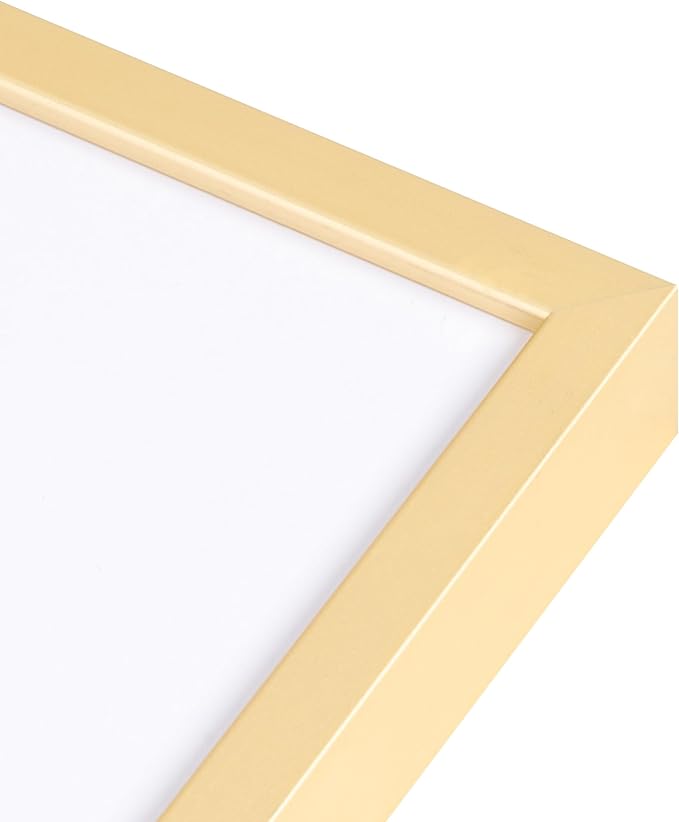 8x10 Picture Frame - Metal Frame With Mat 5x7 | 8 x 10 Aluminum Photo Frame | Plexiglass And Hanging Hardware Included | Black 8x10 Picture Frame | Gold