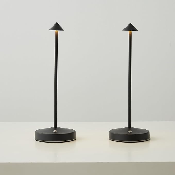 2 PACK Cordless Lamps,Battery Rechargeable Table Lamp,Portable Lamps,2 Level Brightness Dimmable Night Light,Minimalist Design, Cordless Table Lamps for Living Room/Restaurant/Couple Dinner(Black)