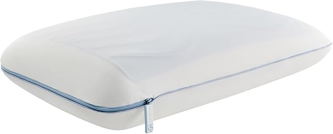 Sealy Dreamlife Memory Foam Gel, King, White Pillow