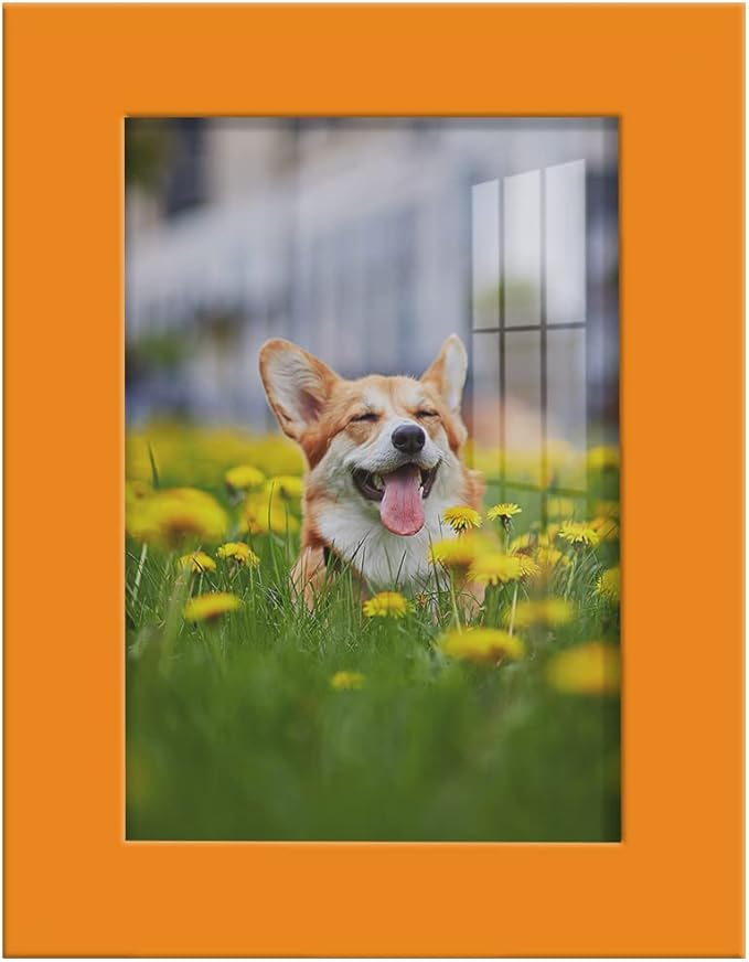 Renditions Gallery 3.5x5 inch Picture Frame High-end Modern Style, Made of Solid Wood and High Definition Glass Ready for Wall and Tabletop Photo Display, Orange Frame