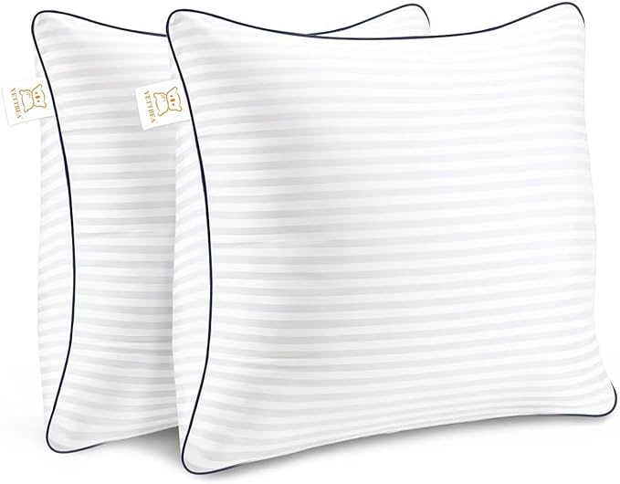 Throw Pillows Insert, 18'' x 18'' Set of 2, Decorative for Couch, Sofa or Bed with Premium Down Alternative Filled, White