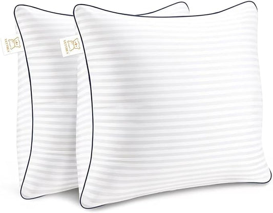 Throw Pillows Insert, 18'' x 18'' Set of 2, Decorative for Couch, Sofa or Bed with Premium Down Alternative Filled, White