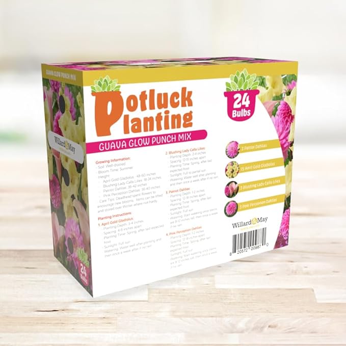24 Easy-to-Plant Bulbs – Dahlias, Lilies, Gladiolus – Guava Glow Punch Flower Bulb Mix - Vibrant Colors & Fragrance – Summer Blooming Garden Gift Set