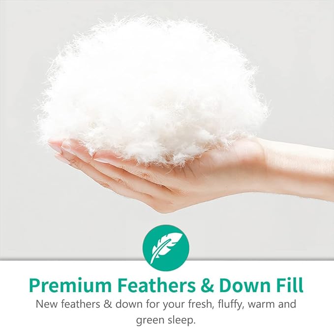 APSMILE Luxury All Season Down Feather Fibers Comforter Full/Queen Size Duvet Insert - 100% Organic Cotton, High Fill Power Medium Warmth, (Ivory White, 90X90)