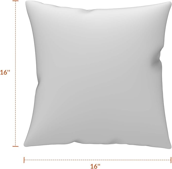 Covers & All Sunbrella Outdoor Throw Pillows, Pack of 2 Water Resistant & UV Fade Resistant Premium Square Throw Pillows (Inserts with Covers) for Indoor & Outdoor Use,16" x 16" Cast Ash