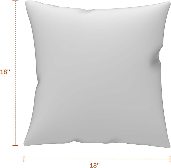 Covers & All Sunbrella Outdoor Throw Pillows, Pack of 2 Water Resistant & UV Fade Resistant Premium Square Throw Pillows (Inserts with Covers) for Indoor & Outdoor Use,18" x 18" Cast Ash