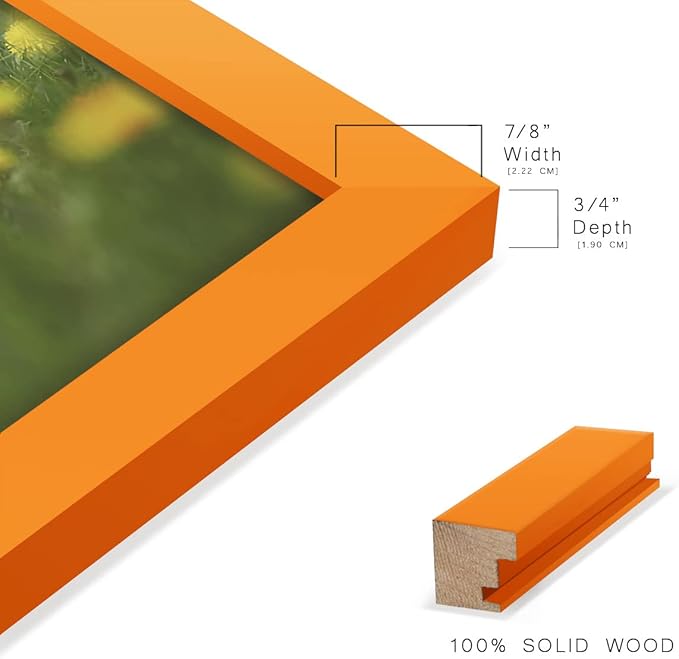 Renditions Gallery 11x14 inch Picture Frame High-end Modern Style, Made of Solid Wood and High Definition Glass Ready for Wall and Tabletop Photo Display, Orange Frame