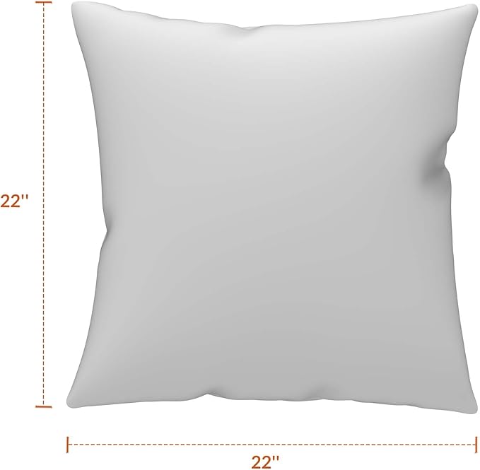 Covers & All Sunbrella Outdoor Throw Pillows, Pack of 2 Water Resistant & UV Fade Resistant Premium Square Throw Pillows (Inserts with Covers) for Indoor & Outdoor Use,24" x 24" Cast Ash