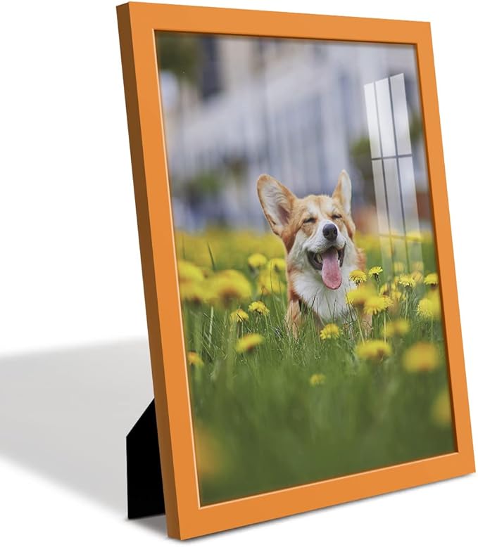 Renditions Gallery 11x14 inch Picture Frame High-end Modern Style, Made of Solid Wood and High Definition Glass Ready for Wall and Tabletop Photo Display, Orange Frame