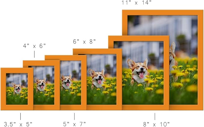 Renditions Gallery 11x14 inch Picture Frame High-end Modern Style, Made of Solid Wood and High Definition Glass Ready for Wall and Tabletop Photo Display, Orange Frame