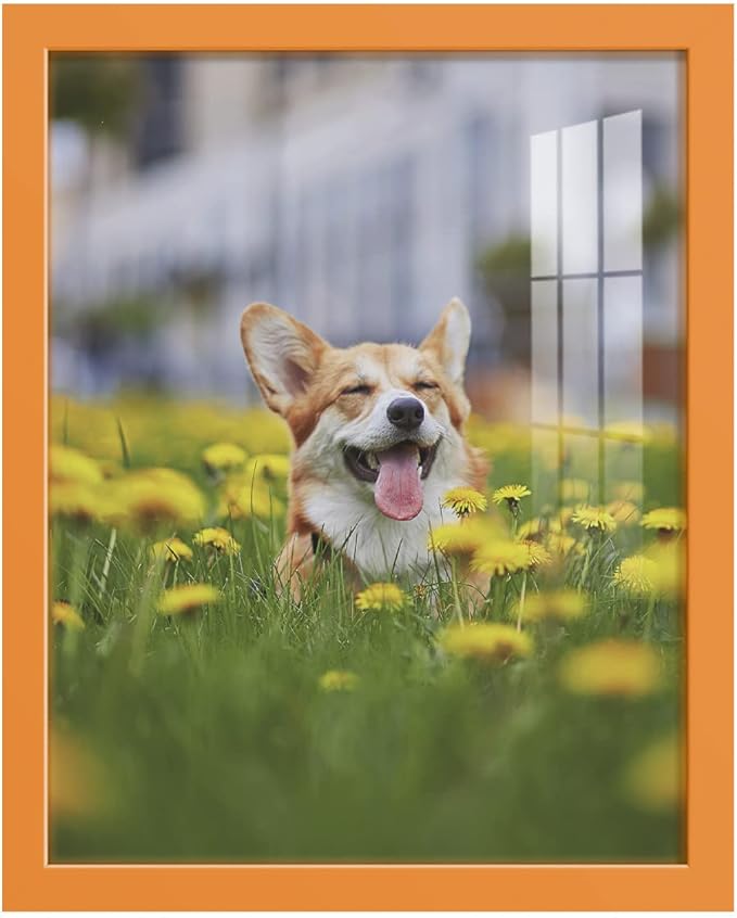 Renditions Gallery 11x14 inch Picture Frame High-end Modern Style, Made of Solid Wood and High Definition Glass Ready for Wall and Tabletop Photo Display, Orange Frame