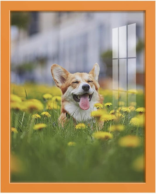 Renditions Gallery 11x14 inch Picture Frame High-end Modern Style, Made of Solid Wood and High Definition Glass Ready for Wall and Tabletop Photo Display, Orange Frame