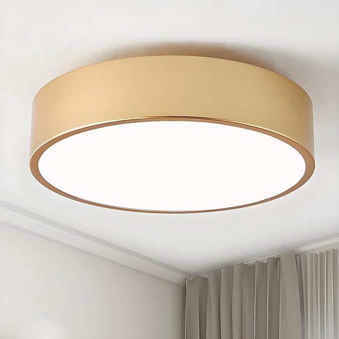 Modern Flush Mount Ceiling Light, 2-Lights Gold Ceiling Light, Minimalistic Ceiling Lamp Acrylic Shade Lighting Fixture for Bedroom Laundry Room Foye Hallway(11.8 Inch)