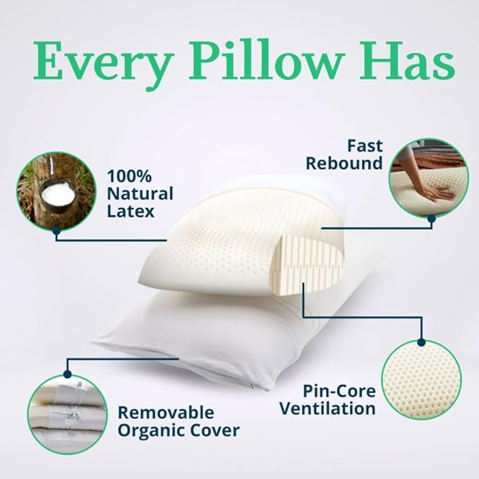 OrganicTextiles Talalay Latex Pillow with Organic Cotton Cover (King Size, Firm), GOTS Certified, Bed Pillow for Sleeping, Neck Pain Relief Help, Head Support, for Side Back Stomach Sleeper