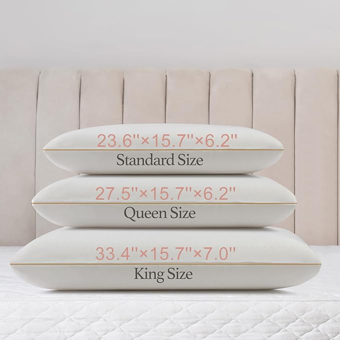 100% Natural Talalay Latex Pillow with Removable Cotton Cover, Medium Soft Queen Size Bed Pillows Provide Head Support, Helps Relieve Pressure, for Side Back Stomach Sleeper