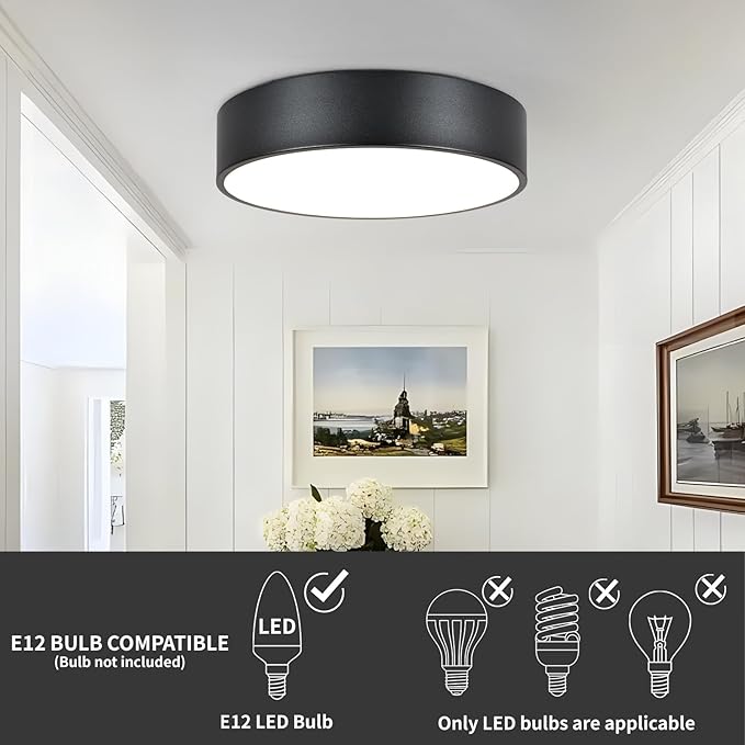 Black Flush Mount Light Fixture, 2-Light Minimalist Close to Ceiling Lamp, Industrial for Hallway, Entryway, Closet, Kitchen Island, Foyer, Balcony, Farmhouse, 11.8 Inch