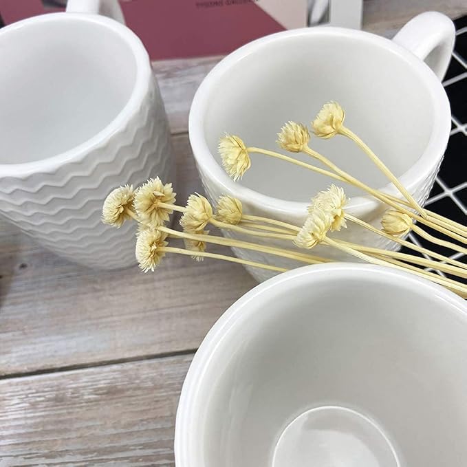 Schliersee 12 OZ White Ceramic Coffee Mugs set of 6, Stylish Embossed Coffee Cups Set for Coffee, Tea, Milk, Cocoa, Cereal