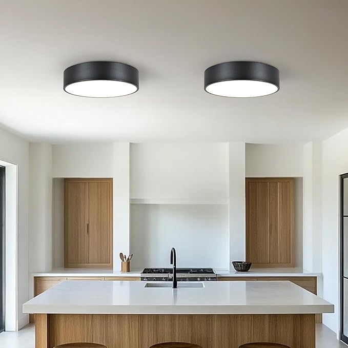 Black Flush Mount Light Fixture, 2-Light Minimalist Close to Ceiling Lamp, Industrial for Hallway, Entryway, Closet, Kitchen Island, Foyer, Balcony, Farmhouse, 11.8 Inch