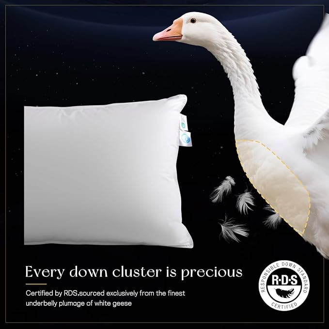 Luxury Goose Down Pillow, Hotel Quality Bed Pillows for Sleeping, 900+ Fill Power, Premium Feather Pillow Fluffy Soft Down Pillow, 600 Count Cotton Shell, 1 Pack, 20"x36"