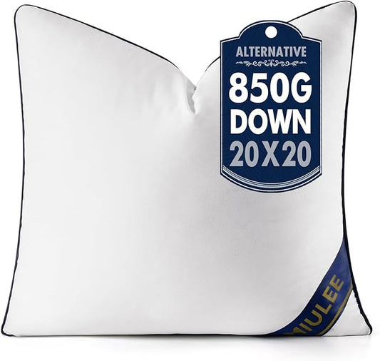 MIULEE 20x20 Pillow Insert Throw Pillow Premium Down Alternative Pillow Insert Square Decorative Pillow Stuffer for Sofa, Couch (20x20 inch)