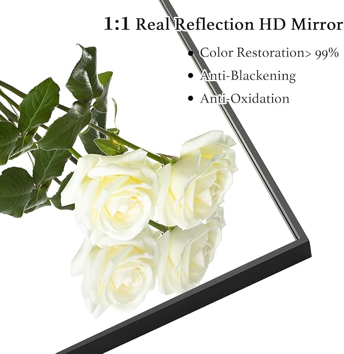 28x28 Inch Black Bathroom Mirror, Copper-Free Aluminum Alloy Frame Vanity Mirror, Rectangle Wall Mounted Modern Mirror for Bedroom/Living Room/Porch Horizontal or Vertical