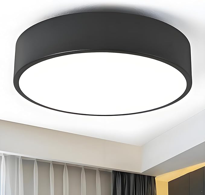 Modern Flush Mount Ceiling Light, 2-Lights Black Ceiling Light, Minimalistic Ceiling Lamp Acrylic Shade Lighting Fixture for Bedroom Laundry Room Foye Hallway(11.8 Inch)