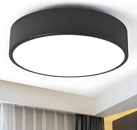 Modern Flush Mount Ceiling Light, 2-Lights Black Ceiling Light, Minimalistic Ceiling Lamp Acrylic Shade Lighting Fixture for Bedroom Laundry Room Foye Hallway(11.8 Inch)