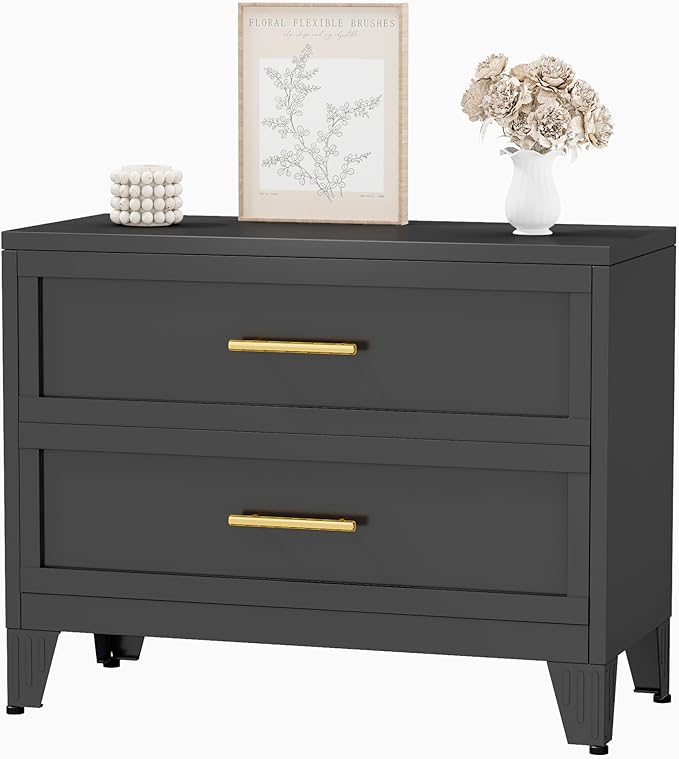 Metal Dresser for Bedroom 2 Drawers Dresser Metal Storage Dressers Organizer,24.8" H Black Drawer Chest, Closet Organizers for Living Room, Hallway, Closet