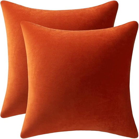 DEZENE Fall Couch Pillow Cases 24x24 Burnt Orange: 2 Pack Cozy Soft Velvet Square Throw Pillow Covers for Farmhouse Home Decor