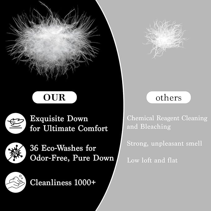 Shilucheng Goose Down and Feather Pillows Queen Size Set of 2 Pack, Luxury Hotel Quality Bed Pillows for Side Back Stomach Sleepers, Soft 100% Cotton Shell（White,20" x 30"）