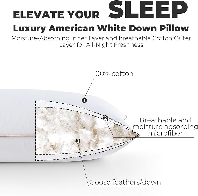 Dreamhood Goose Feather Down Pillows for Sleeping Soft Bed Pillow Queen Size Set of 2 for Twin Bed Made in USA with 100% Cotton Cover 20 x 30 Inches Stomach or Side Sleeper