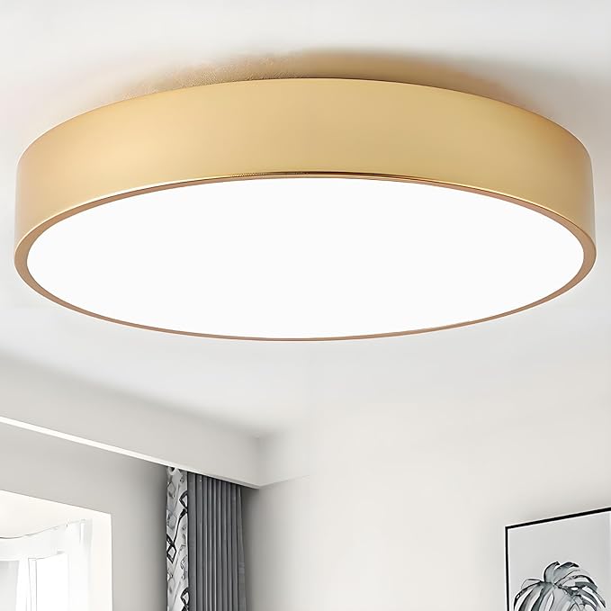 Modern Flush Mount Ceiling Light, 3-Lights Gold Ceiling Light, Minimalistic Ceiling Lamp Acrylic Shade Lighting Fixture for Bedroom Laundry Room Bathroom Hallway(15.8 Inch)