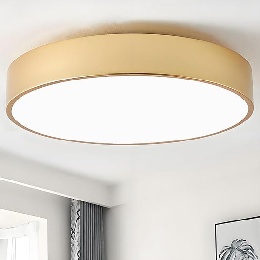 Modern Flush Mount Ceiling Light, 3-Lights Gold Ceiling Light, Minimalistic Ceiling Lamp Acrylic Shade Lighting Fixture for Bedroom Laundry Room Bathroom Hallway(15.8 Inch)