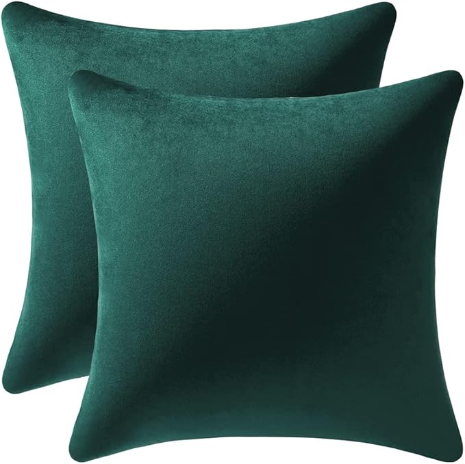 DEZENE Decorative Pillow Covers 18x18 Green: 2 Pack Cozy Soft Velvet Square Throw Pillow Cases for Farmhouse Home Decor