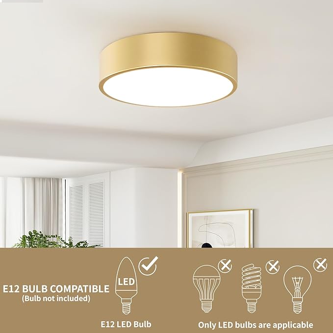 Modern Gold Flush Mount Light, 12 Inch 2-Light Round Close to Ceiling Fixture, Minimalist Lamp for Foyer, Hallway, Kitchen Island, Bedroom, Laundry, Bathroom