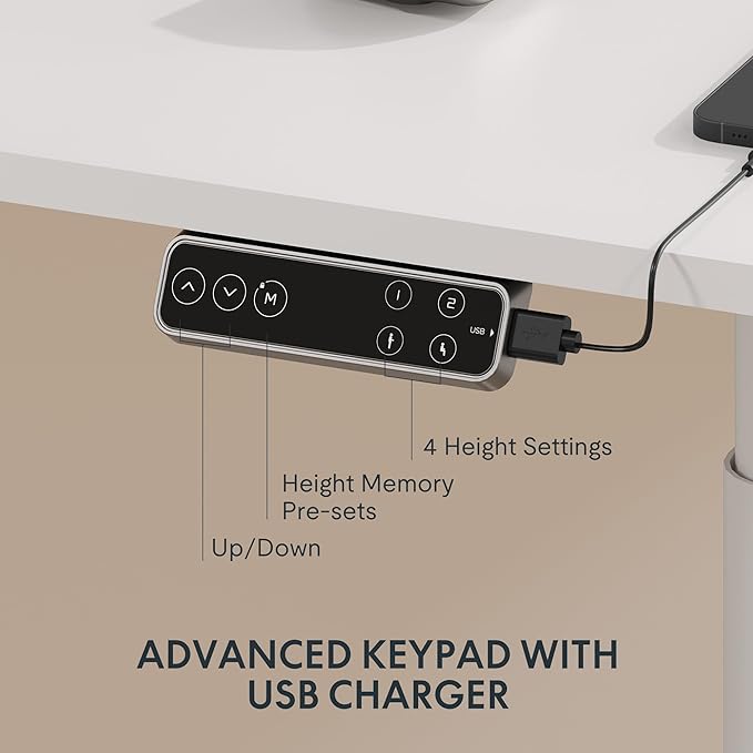 FLEXISPOT E6 Pro Oval Leg Dual Motor 3 Stages Standing Desk 60x27 Inch Skin-Friendly Electric Height Adjustable Whole-Piece Sit Stand Up Desk 150KG Load Capacity (White Frame + White Desktop)