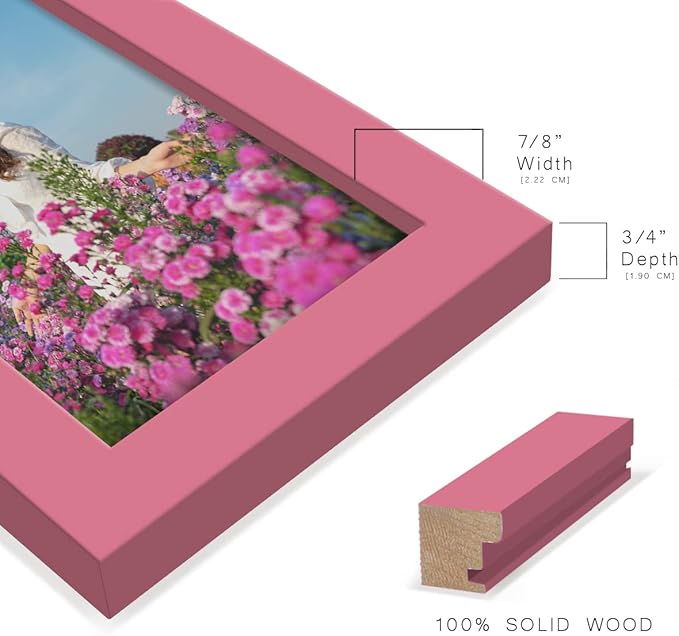 Renditions Gallery 3.5x5 inch Picture Frame High-end Modern Style, Made of Solid Wood and High Definition Glass Ready for Wall and Tabletop Photo Display, Hot Pink Frame