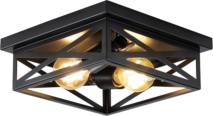 Black Rustic Metal Flush Mount Ceiling Light Fixture, 2-Light Industrial Farmhouse Hallway Light Fixtures, Metal Cage Closed to Ceiling Mounted Lights for Bedroom Kitchen Ceiling Lights